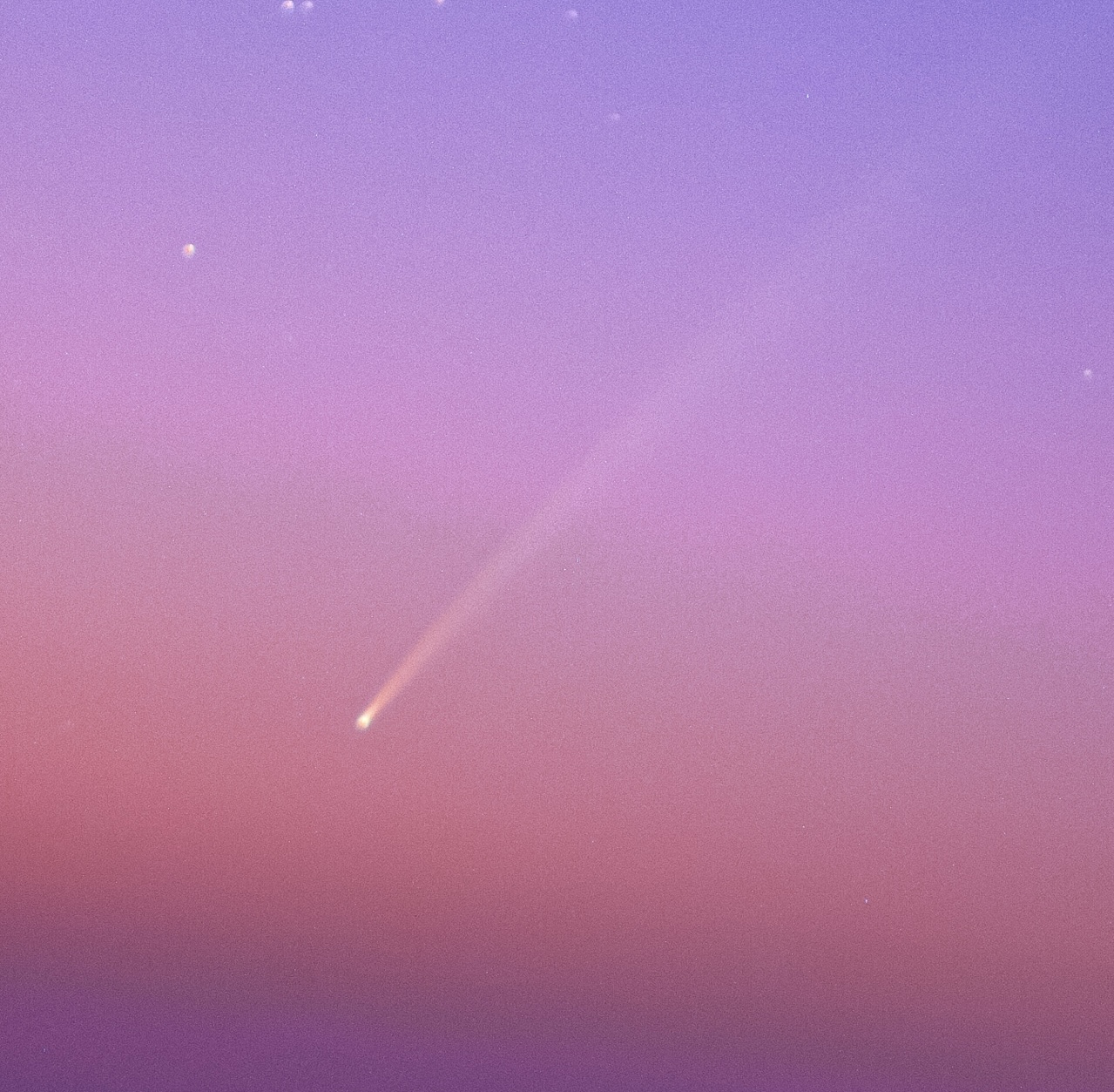 صورة